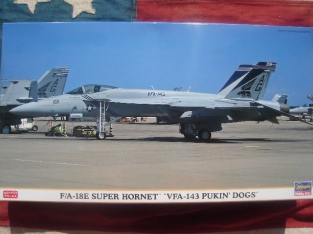 HSG00800  F/A-18E Super Hornet 'VFA-143 ''PUKIN DOGS''